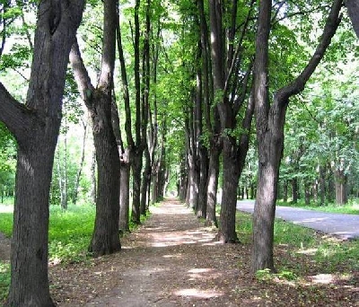 Izmaylovsky Park
